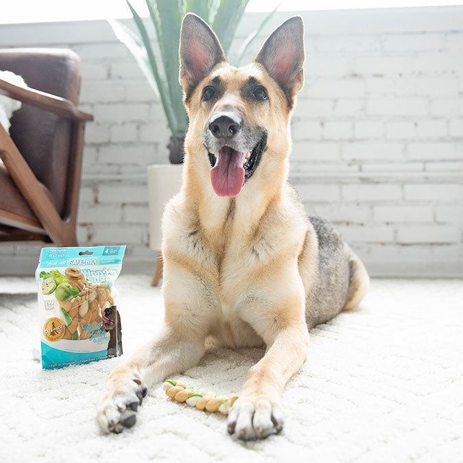 a happy dog with a WonderSnaXX Dog Treat