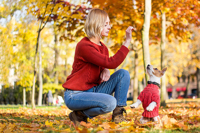 a lady teaching a dog a trick outdoors