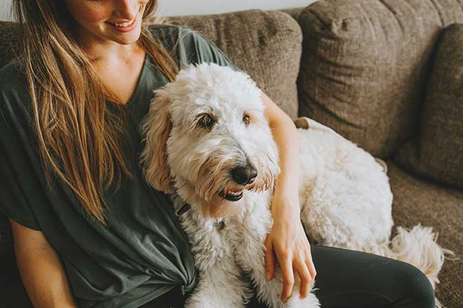 a dog sitting with a pet sitter on a couch