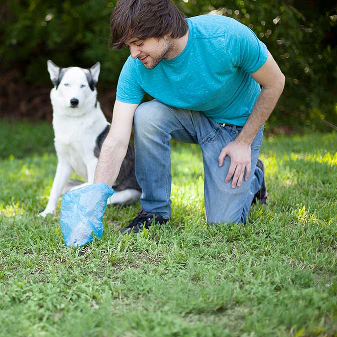 a man kneeling down on grass picking up his dogs poop with a dog waste bag