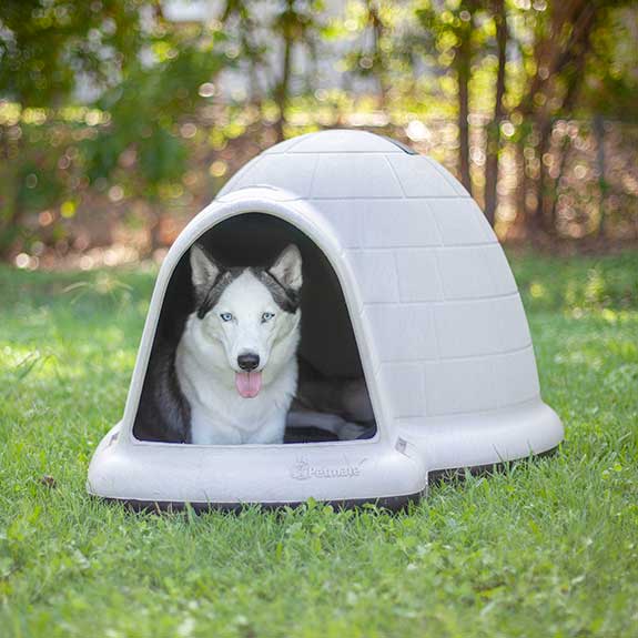 A Siberian Husky dog laying down inside a plastic doghouse