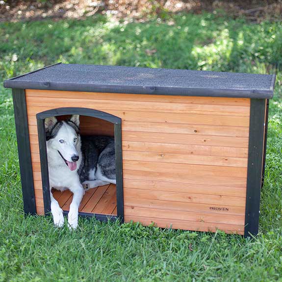 A Siberian Husky dog laying down inside a wooden doghouse