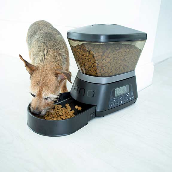 a small dog eating food from an automatic pet feeder