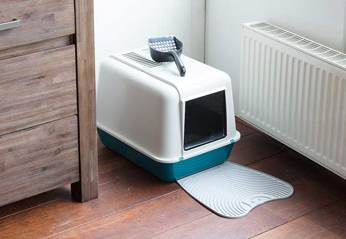 a litter box placed in a bedroom