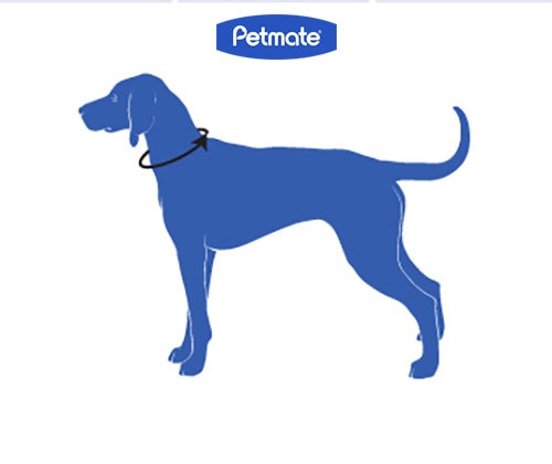 a chart showing how to measure a dog's neck