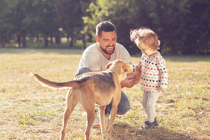 a dad and his toddler petting a dog gently