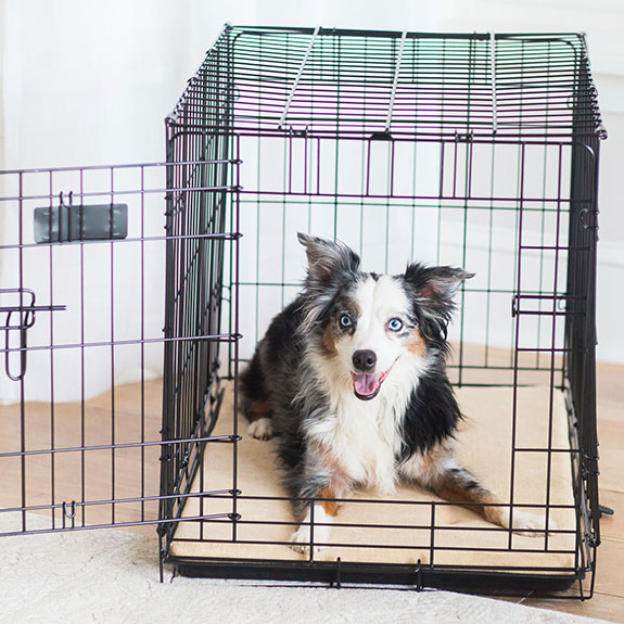 a dog happily laying down in a crate