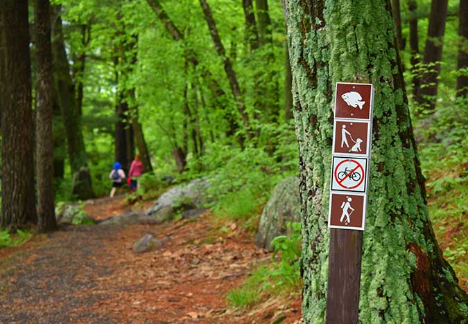 a trail indicating if dogs are allowed or not