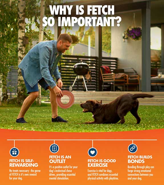an infographic containing an image of a middle-aged man playing outside with his dog. This infographic also gives 4 reasons for the importance of fetch