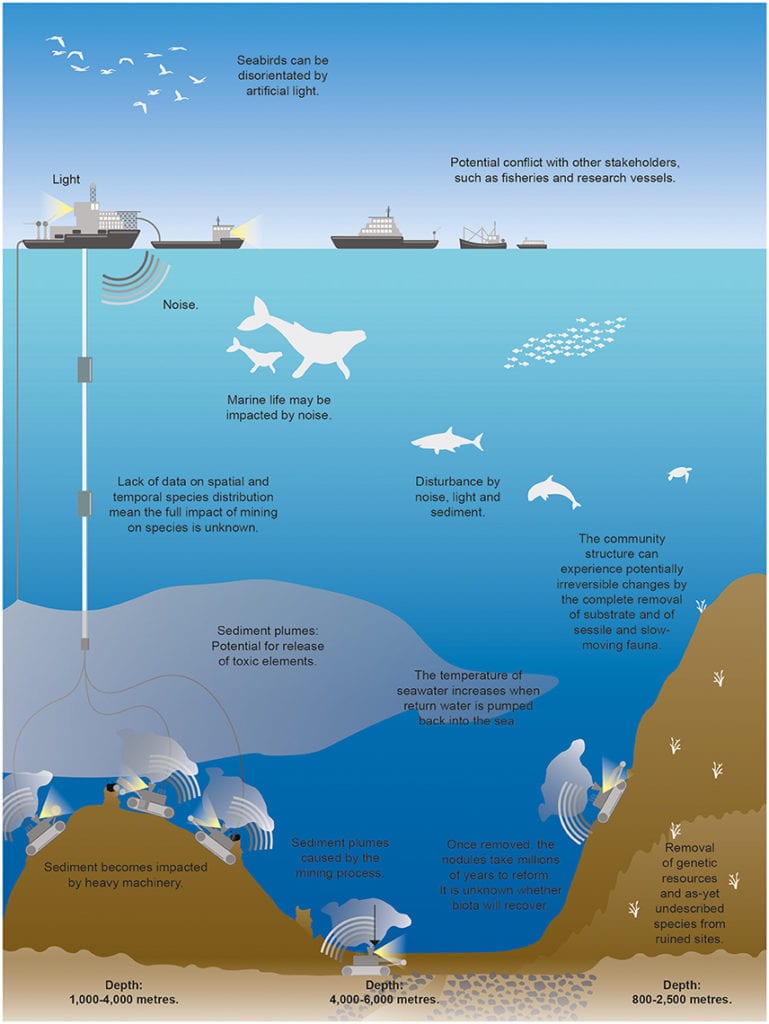 Infographic showing all the impact on marine life that the undersea diamond mining in Namibia has.