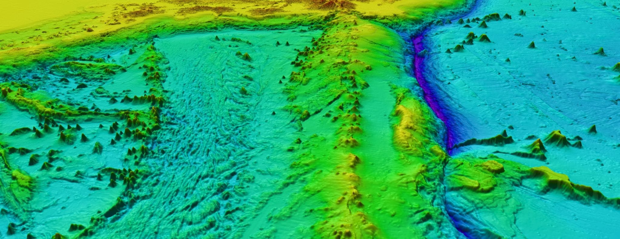 This is an image of the Pacific Ocean floor, from the Seabed 2030 project.