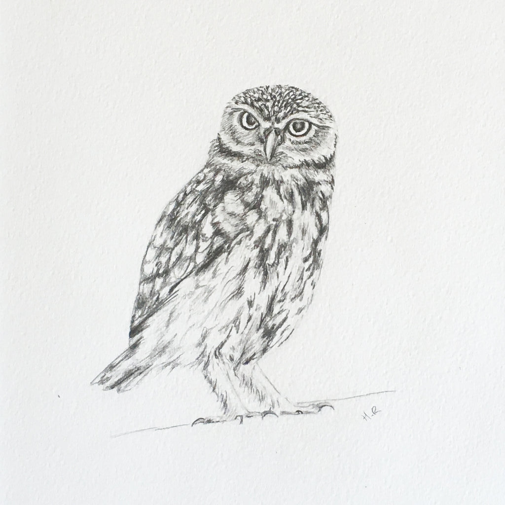 owl face pencil drawing