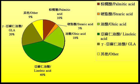 琉璃苣油油酸組合
