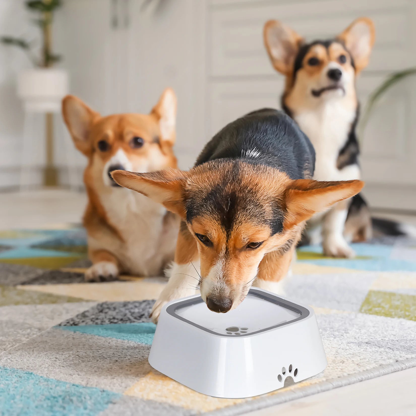 Dog Drinking Bowl Floating Pet Dog Water Feeder Bowl with Waterproof Cloth Mat Splash-free Plastic Water Dispenser