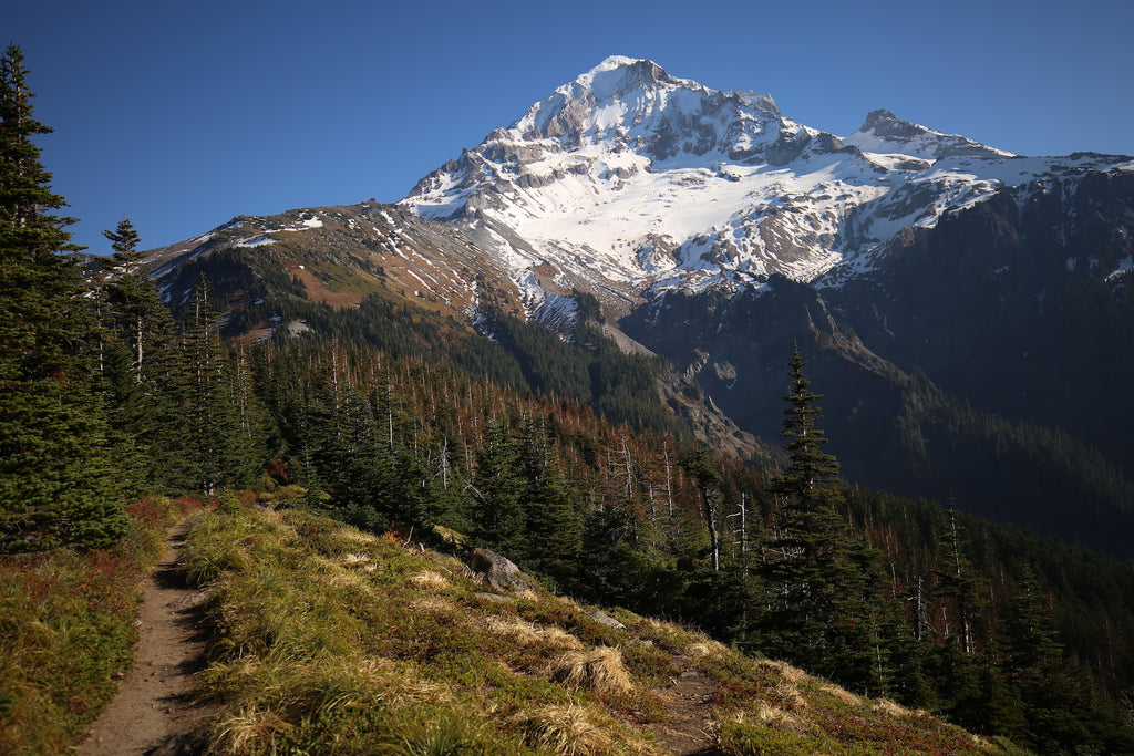 Mt. Hood, Oregon | Top Spur Trailhead PCT