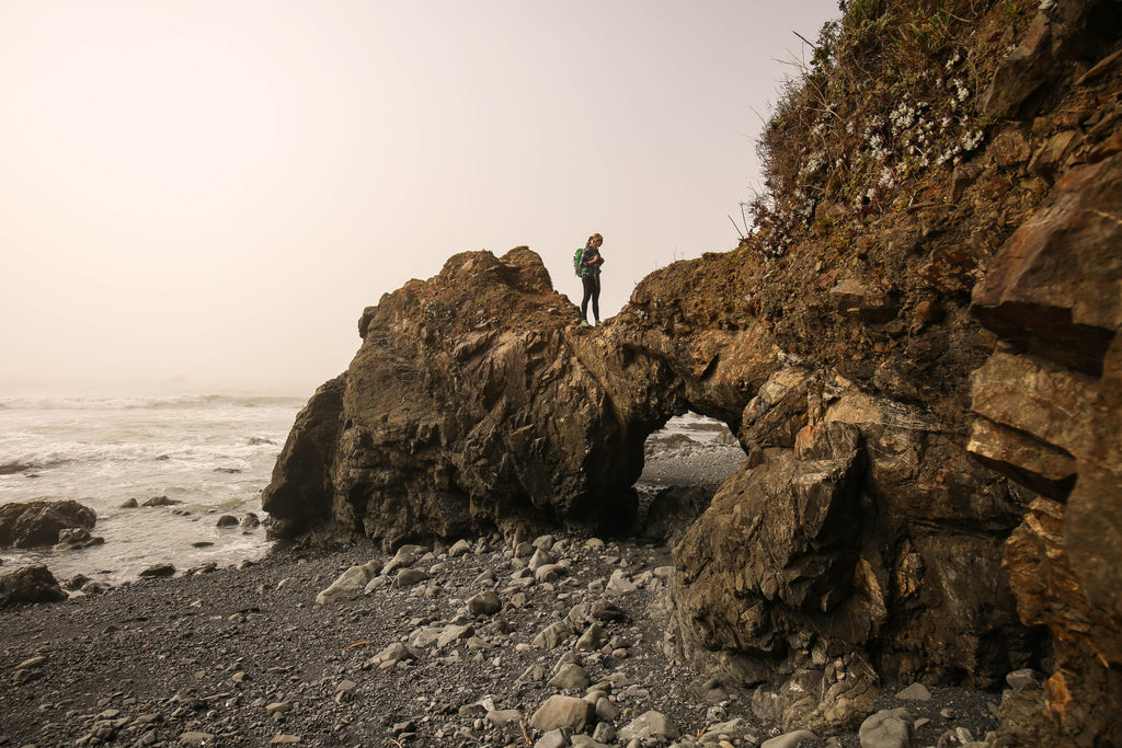 Damnation Creek Trail in the Del Norte Coast Redwoods State Park