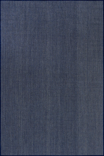Dorinda Hazy Solid Indoor/Outdoor Rug | Navy