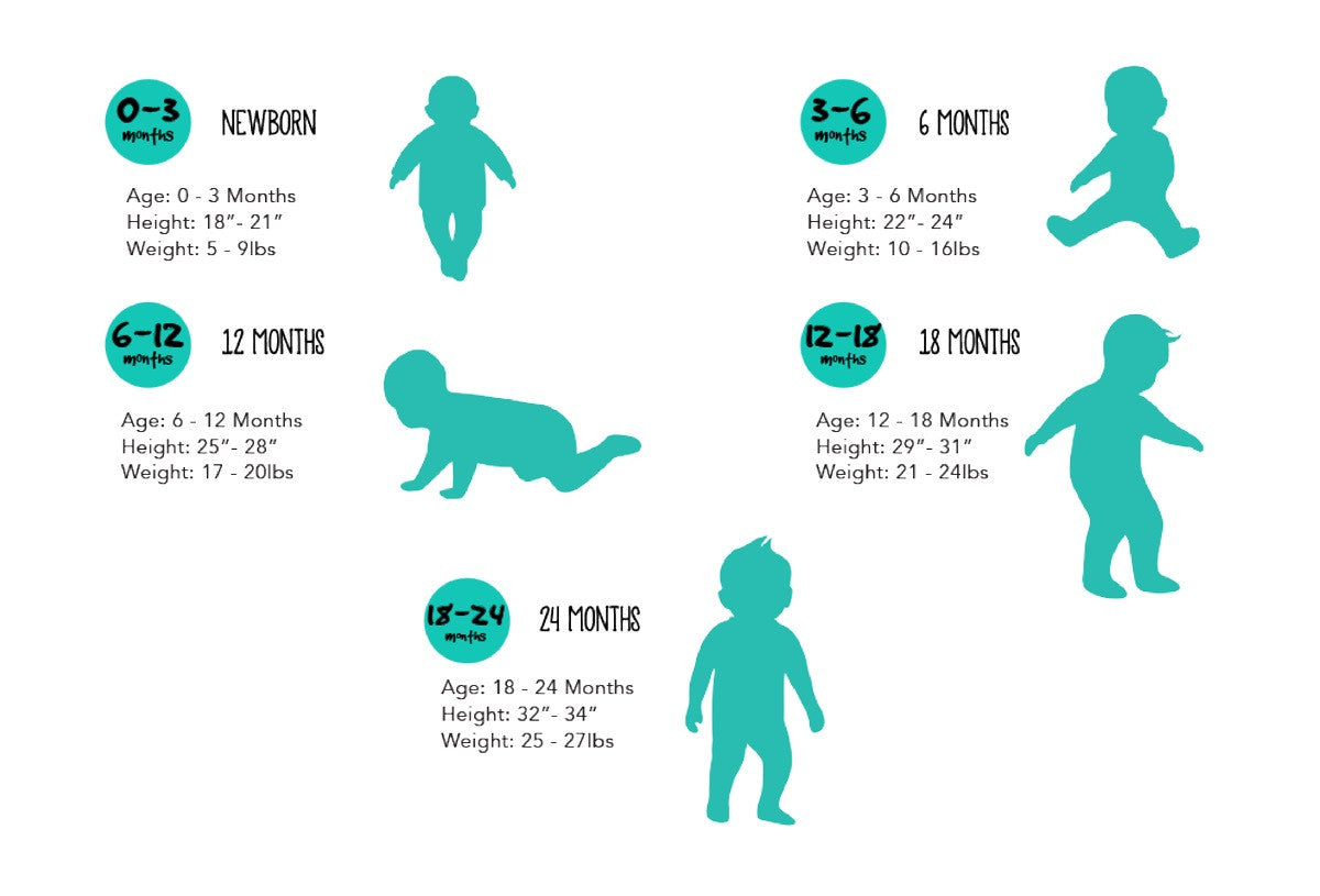 Pregnancy Milestones Chart By Due Date