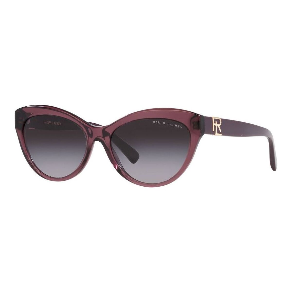 Ralph Lauren Ladies' Sunglasses  Rl 8213 Gbby2 In Brown