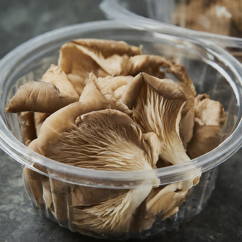 old oyster mushrooms in plastic