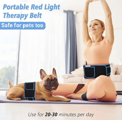 led red light technology safe for pets with hip pain