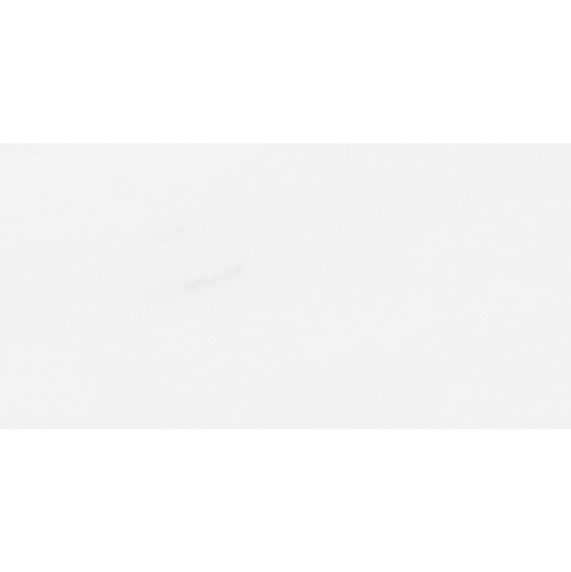 Bianco Dolomite Field Tile 3"x 6" Polished