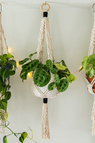 Macrame Plant Hanger