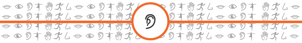 Sensory Sense of Hearing