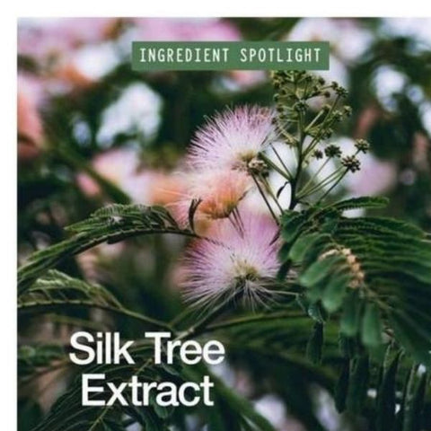 Ingredient Image: Silk Tree Extract