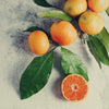 Orange plant with slices of orange to represent the fruit lipids used in ARK Skincare's Triple Action Exfoliator