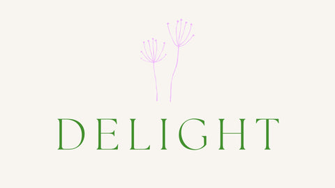 delight youth ministry event curriculum