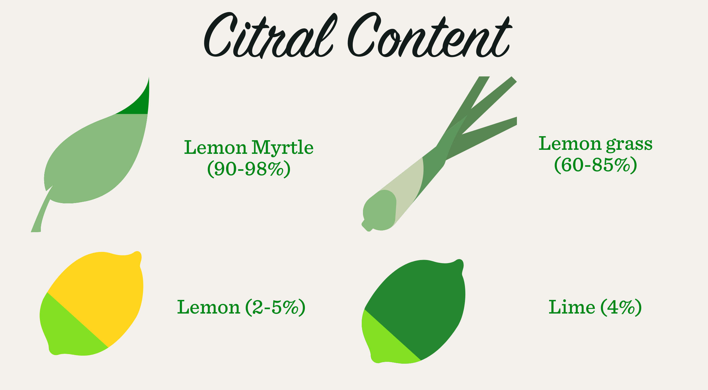 Lemon Myrtle is not a citrus plant at all. It belongs to the Myrtaceae family, which also includes well-known plants such as eucalyptus.