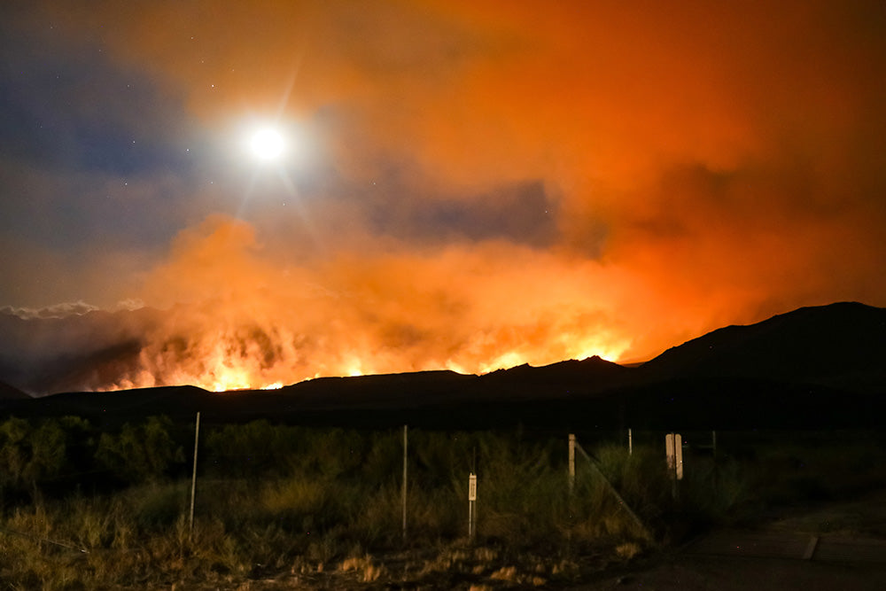 California wildfires – Ross Stone on Unsplash