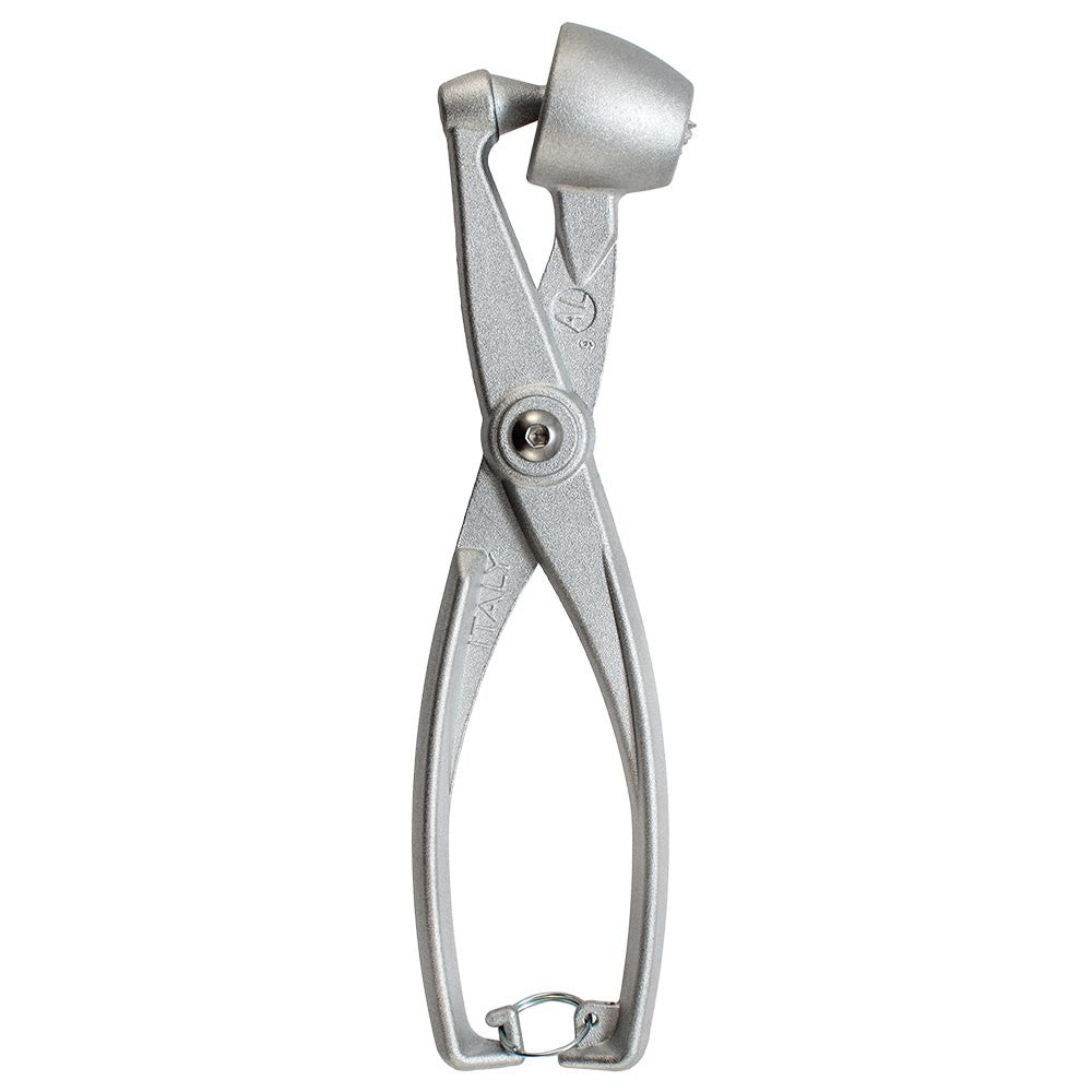 https://cdn.shopify.com/s/files/1/0818/5081/products/aluminium-olive-pitter-closed_1024x1024.jpg?v=1438179300