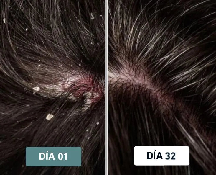 Aitana Gil testimonial