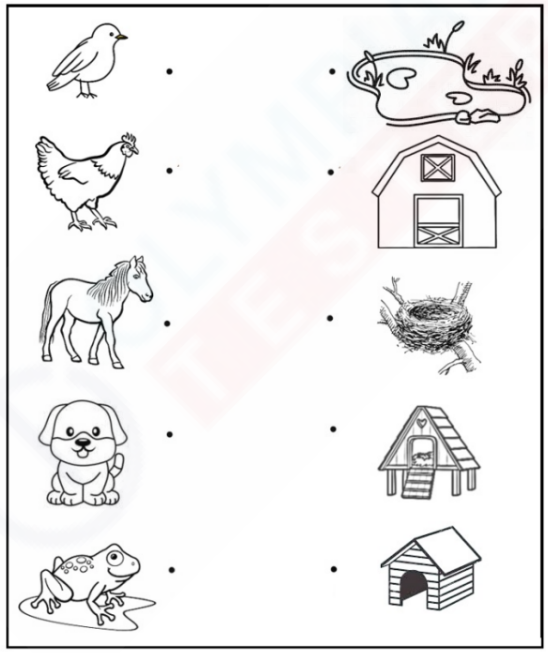 Animal Homes Matching Game for Kids | Olympiad tester