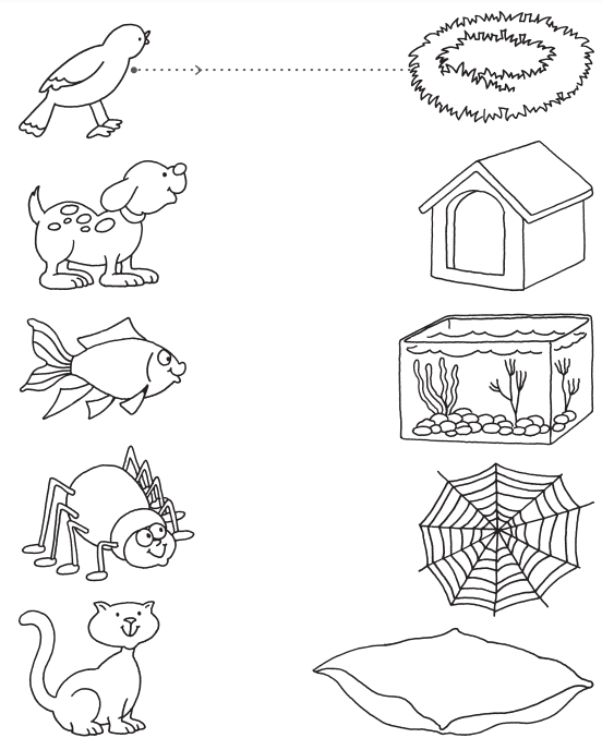 Free printable science worksheets for Preschools - Animals 16 ...