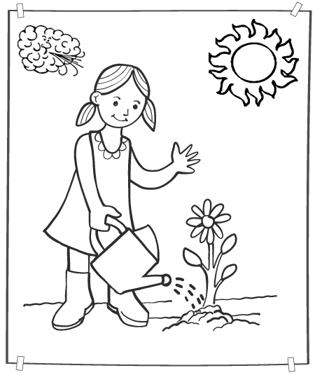 Free Kindergarten Worksheets - Plants 11 | Olympiad tester