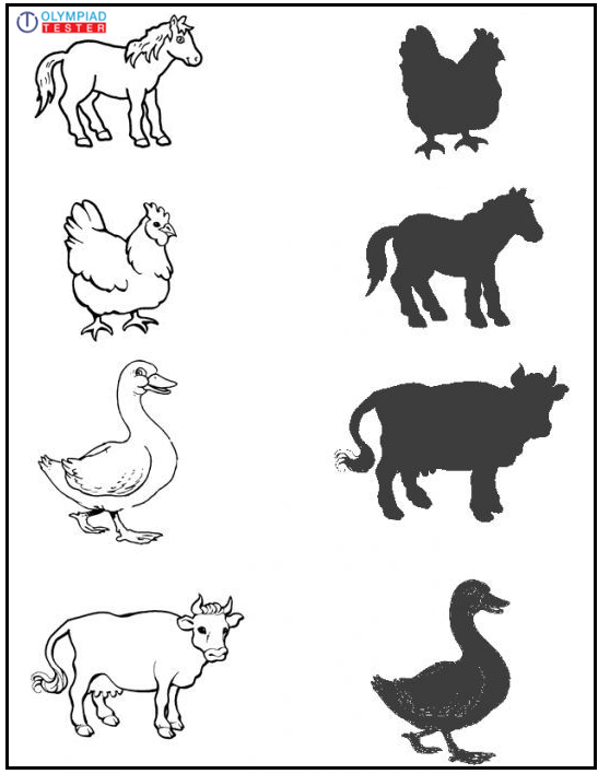 Free Printable Science worksheets for Preschool - Animals 37 | Olympiad ...