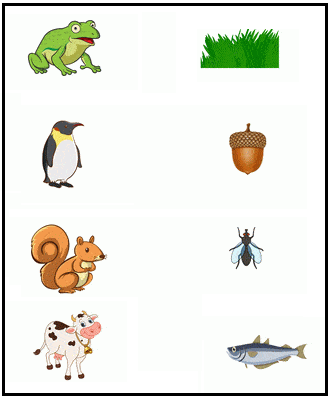 Free Printable Science Worksheet for Preschool - Animals 41 | Olympiad ...