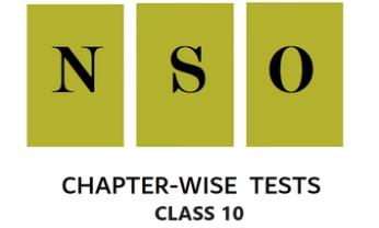 NSO Chapter-wise Practice Tests for Class 10