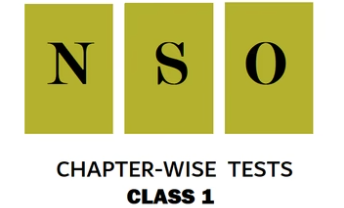 NSO Chapter-wise Practice Tests for Class 1