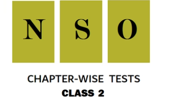 NSO Chapter-wise Practice Tests for Class 2