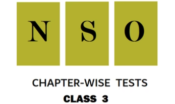 NSO Chapter-wise Practice Tests for Class 3