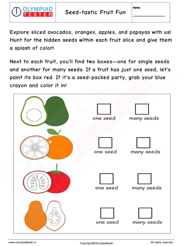 Kindergarten Science Worksheet