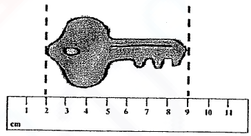 2nd Grade Measurement Worksheets