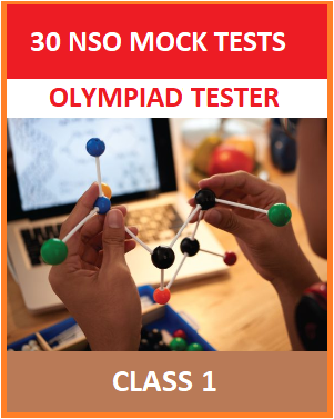 30 NSO mock tests for Class 1