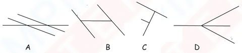 geometry worksheets for grade 4 with answers