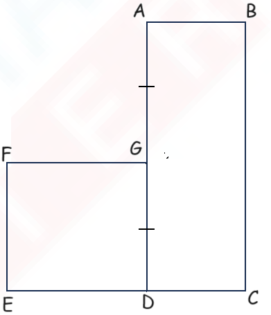 Geometry Worksheets for Grade 4