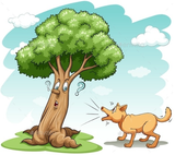 Barking up the wrong tree - Idiom meaning and example